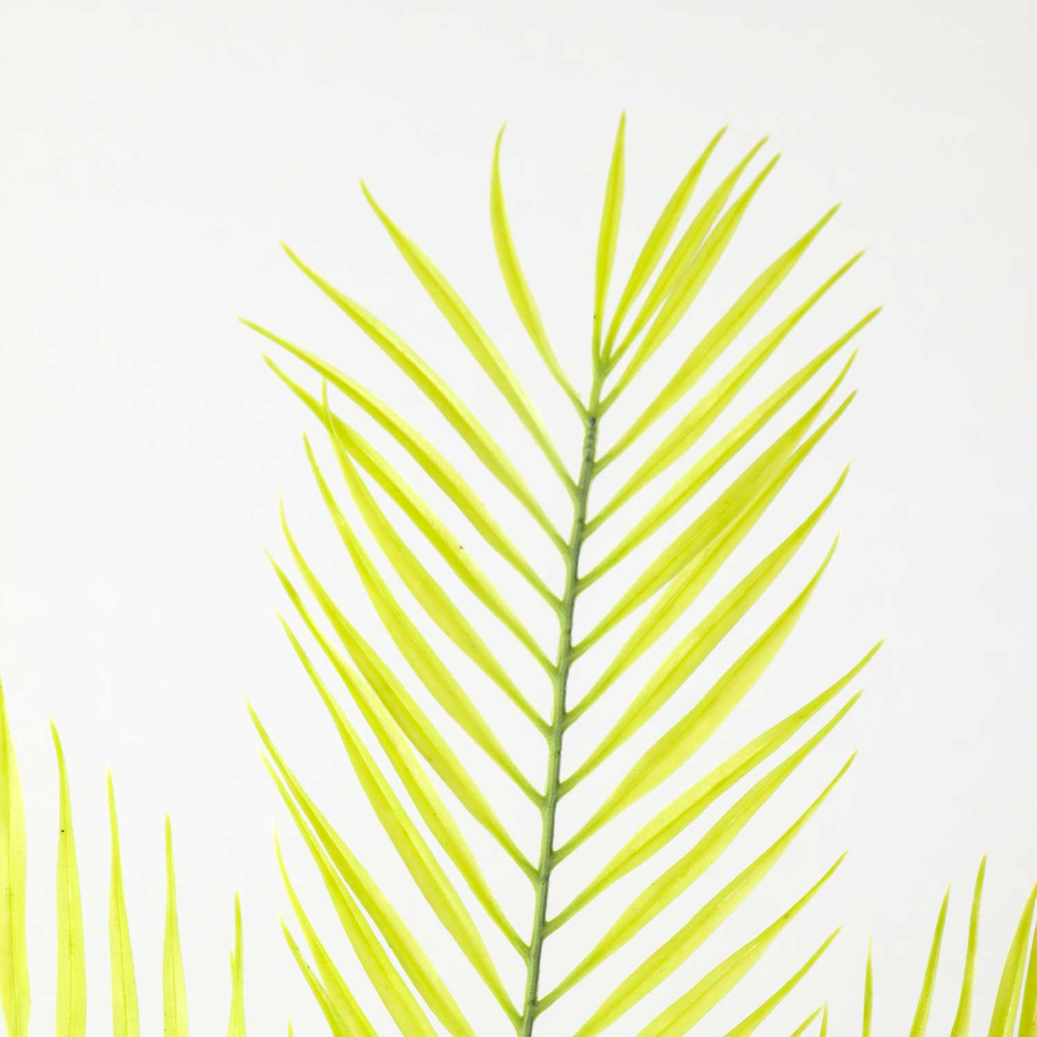 Yapay Palmiye Dalı 68cm