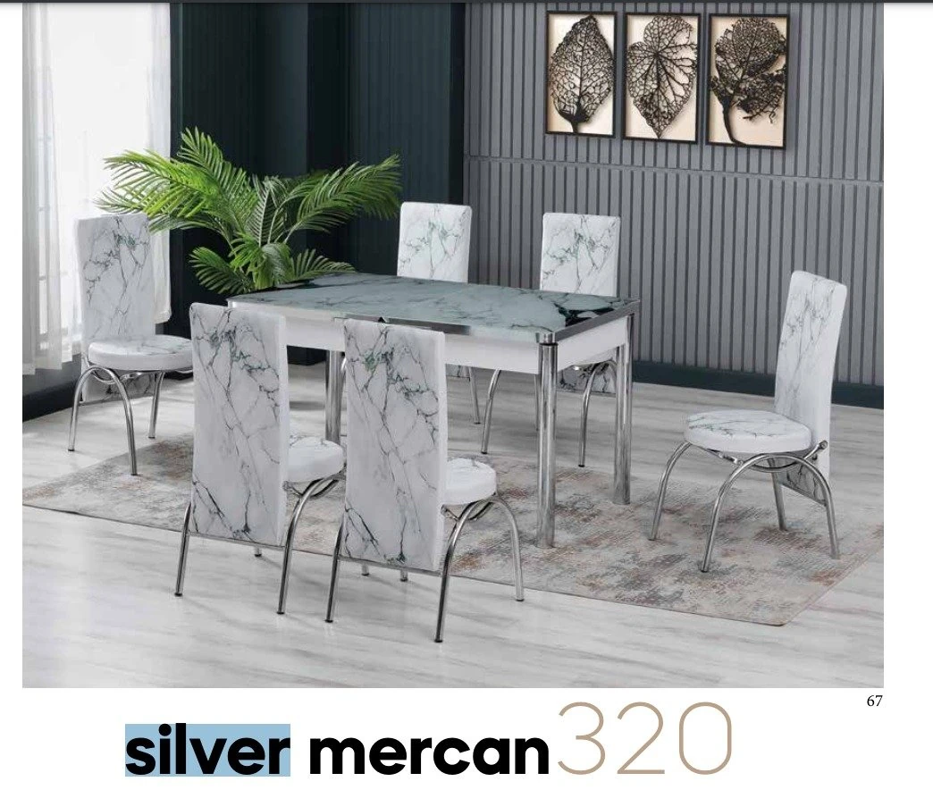 Masa Takımı Silver Mercan 80*130cm Açılabilir 6 Be