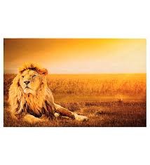 Digital Paspas Pvc Taban 40*70cm Aslan Desen