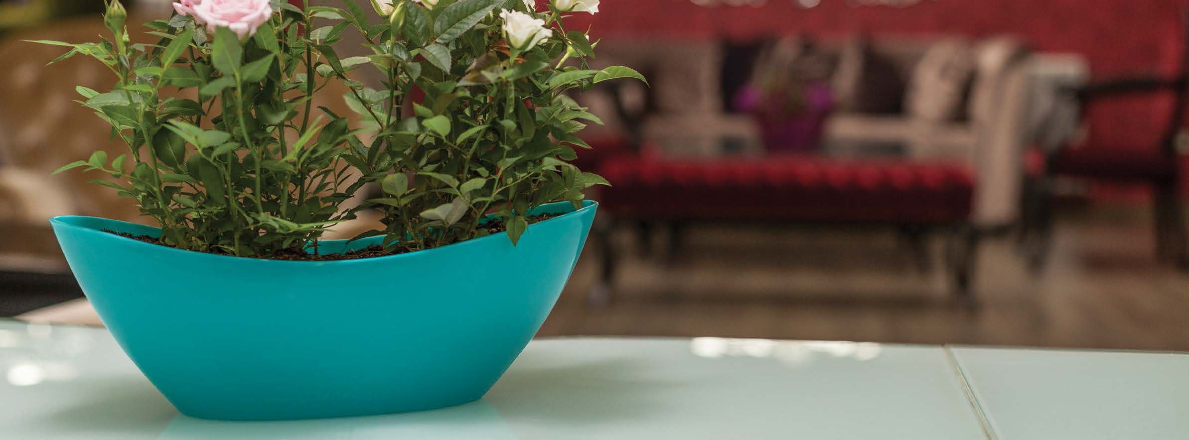 Kayık Arajman Saksı 3,25 Lt No 3 Turkuaz