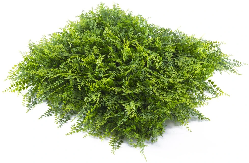 Yapay Bitki Duvar Paneli Şimşir 50x50cm