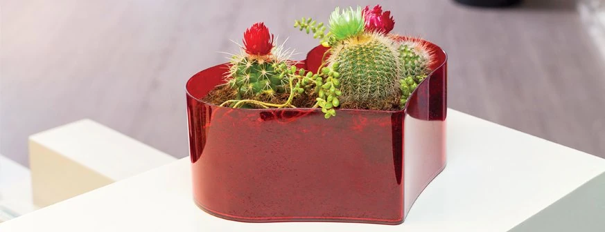 Kalp Arajman Saksı 1,7 lt