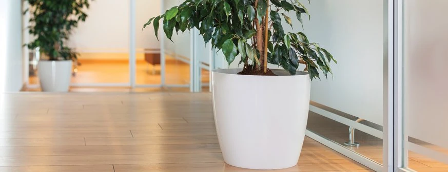 Yakut Saksı 66 Lt. No 7 Beyaz