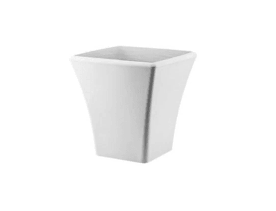 Begonvil Saksı 27Lt Beyaz