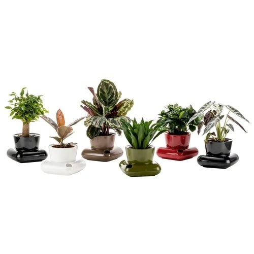 Gala Saksı 3,5Lt Kahve