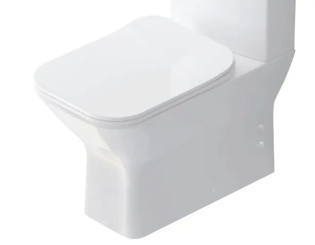 NOVA Wall Mounted Toilet White