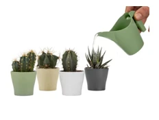 Papatya Kaktüs Sulama Kabı 0,3Lt Antrasit