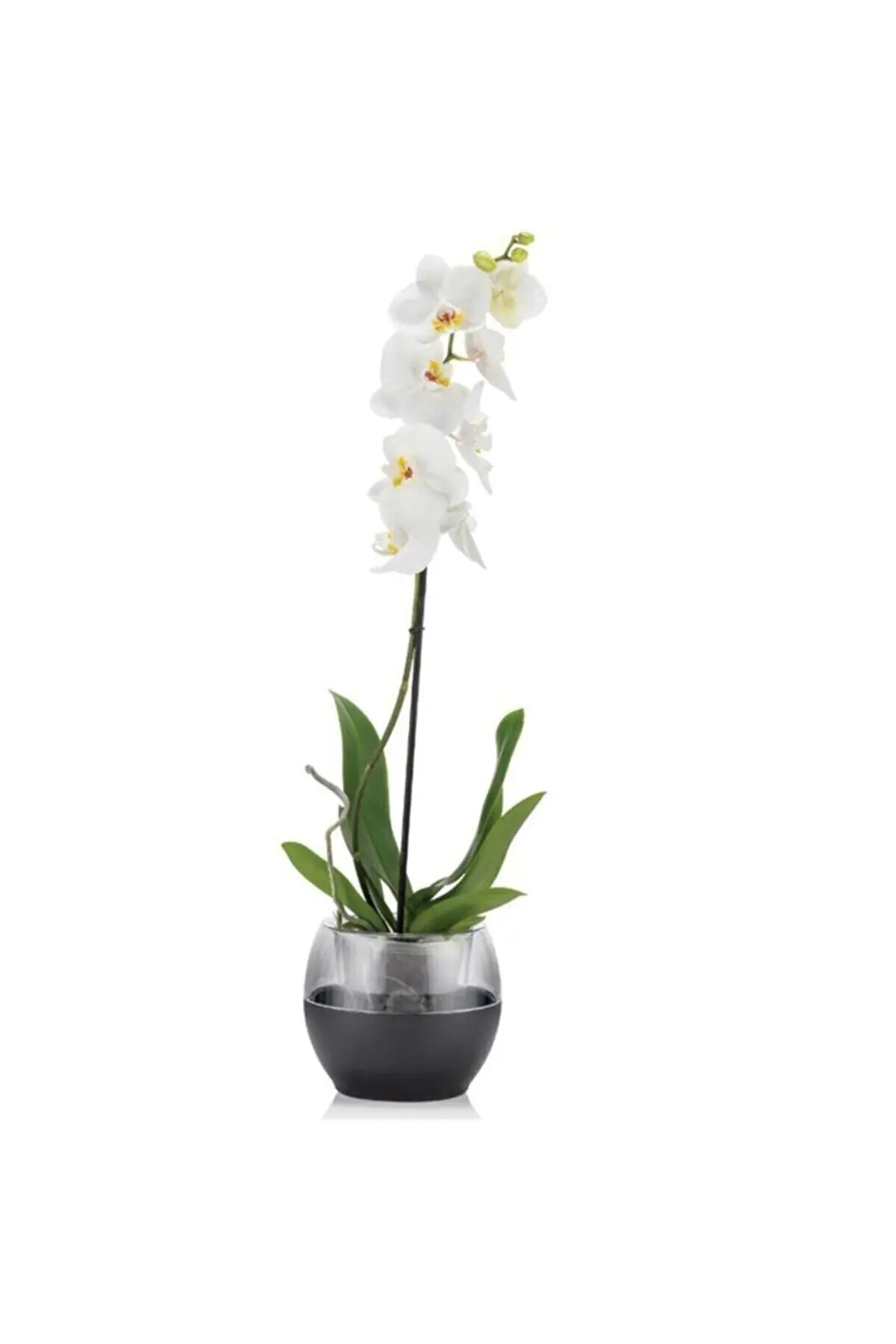 Buule Flower Pot 2Lt Anthracite
