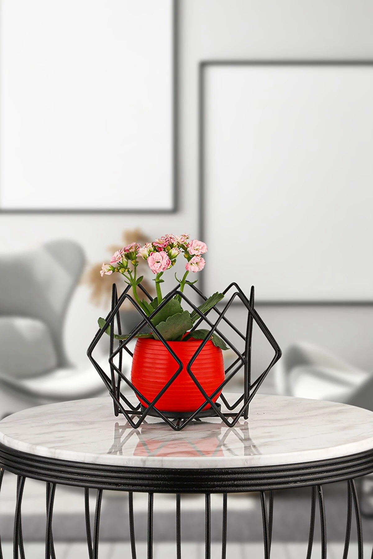 Saksılık Aqua Siyah No:4 -Kırmızı Saksı