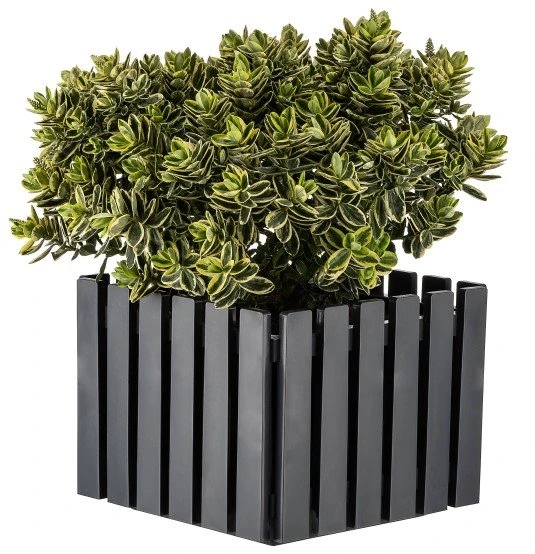 Akasya Çit Kare Saksı 13Lt Antrasit