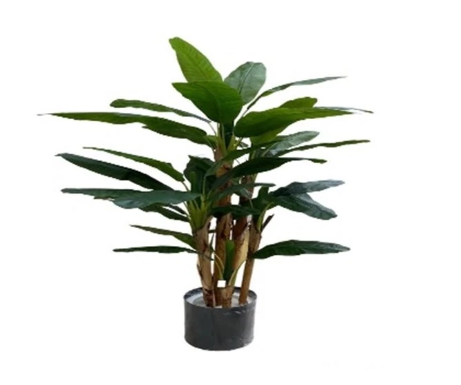 Yapay Banana Palm Ağaç 3 Gövdeli 190cm