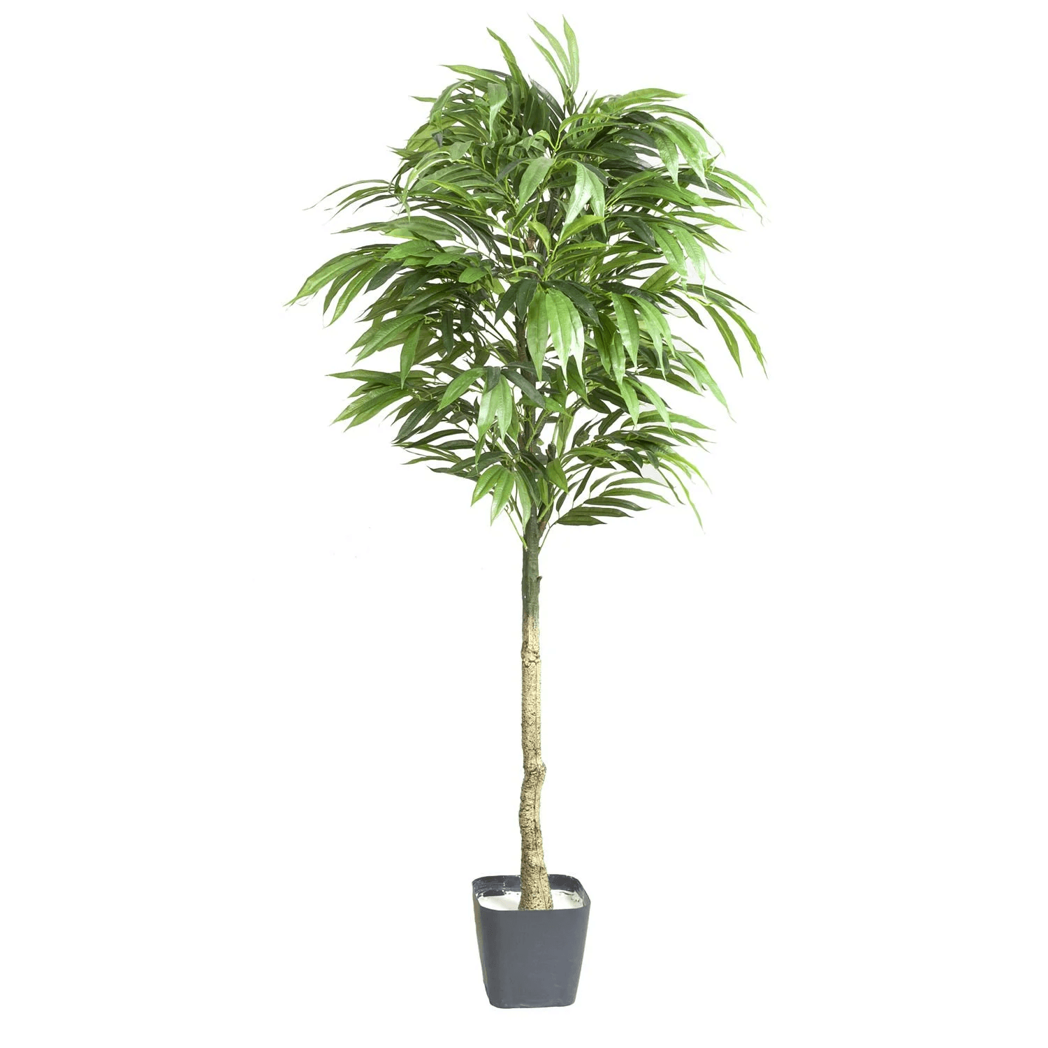 Yapay Mango Ağacı 175cm Yeşil