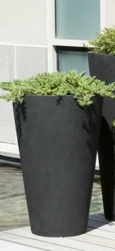 Nova Vita Saksı Konik Siyah Yüks.52cm Çap 30cm