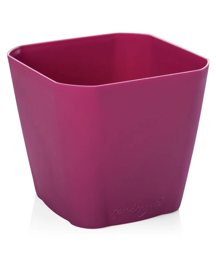 Safir Saksı 5,6Lt No 4 Gül Kurusu + Drenajlı