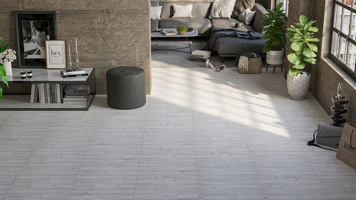 Yer-Duvar Karosu Faggıo Gri Mat 30X60