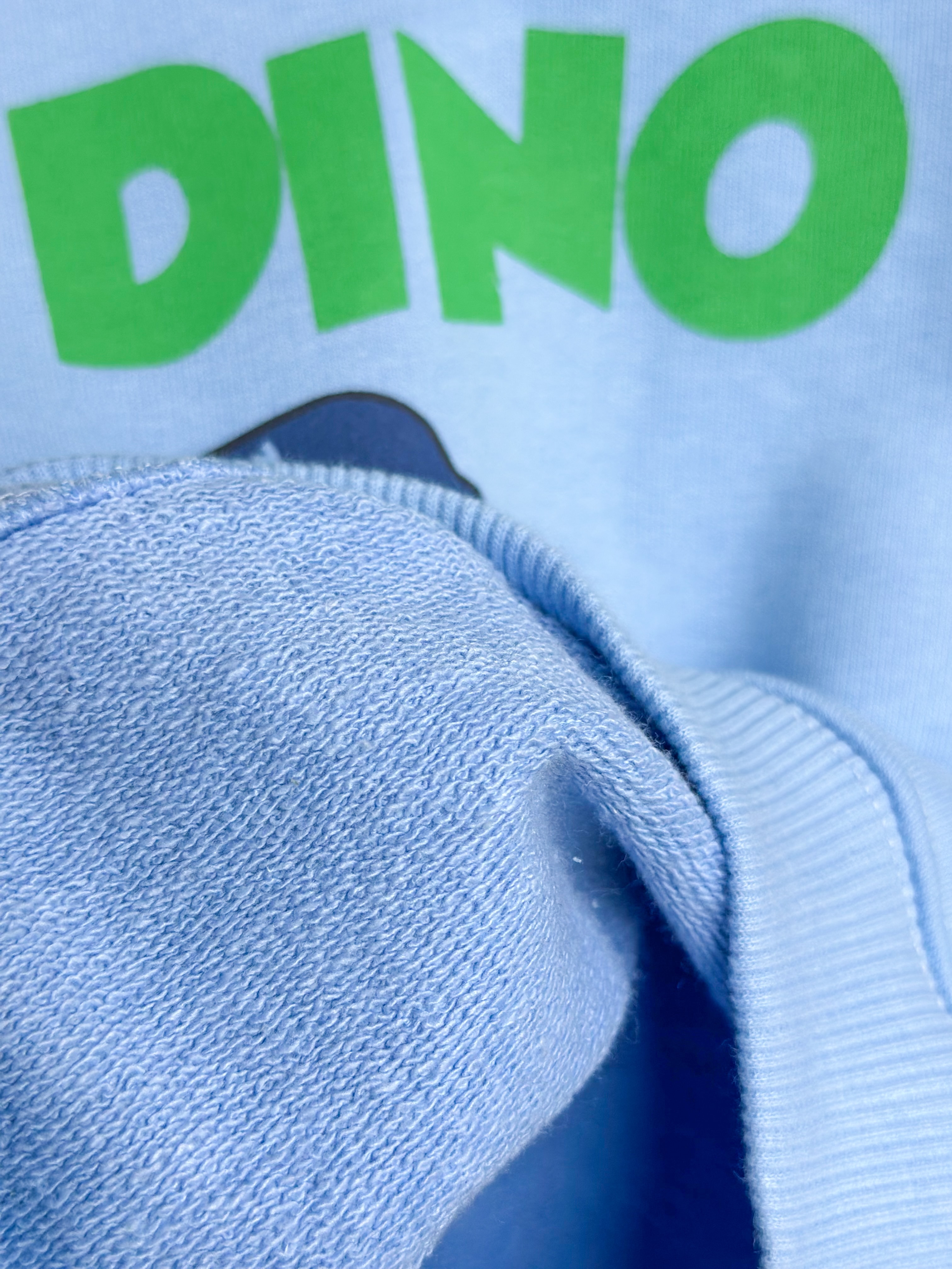 MİNİ DİNO Sweatshirt ve Dokuma Pantolon Takım