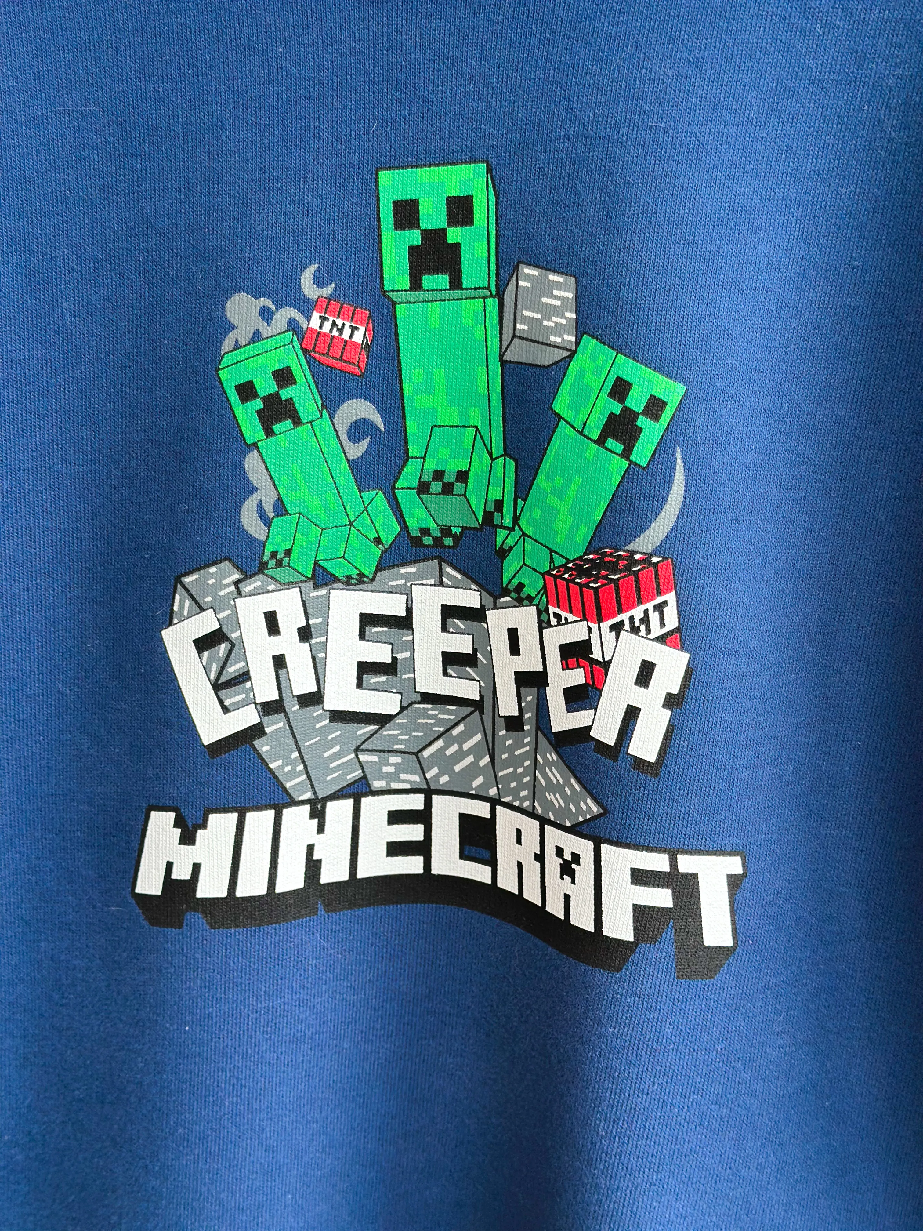MINECRAFT Baskılı Sweatshirt (Büyük Yaş Grubu)