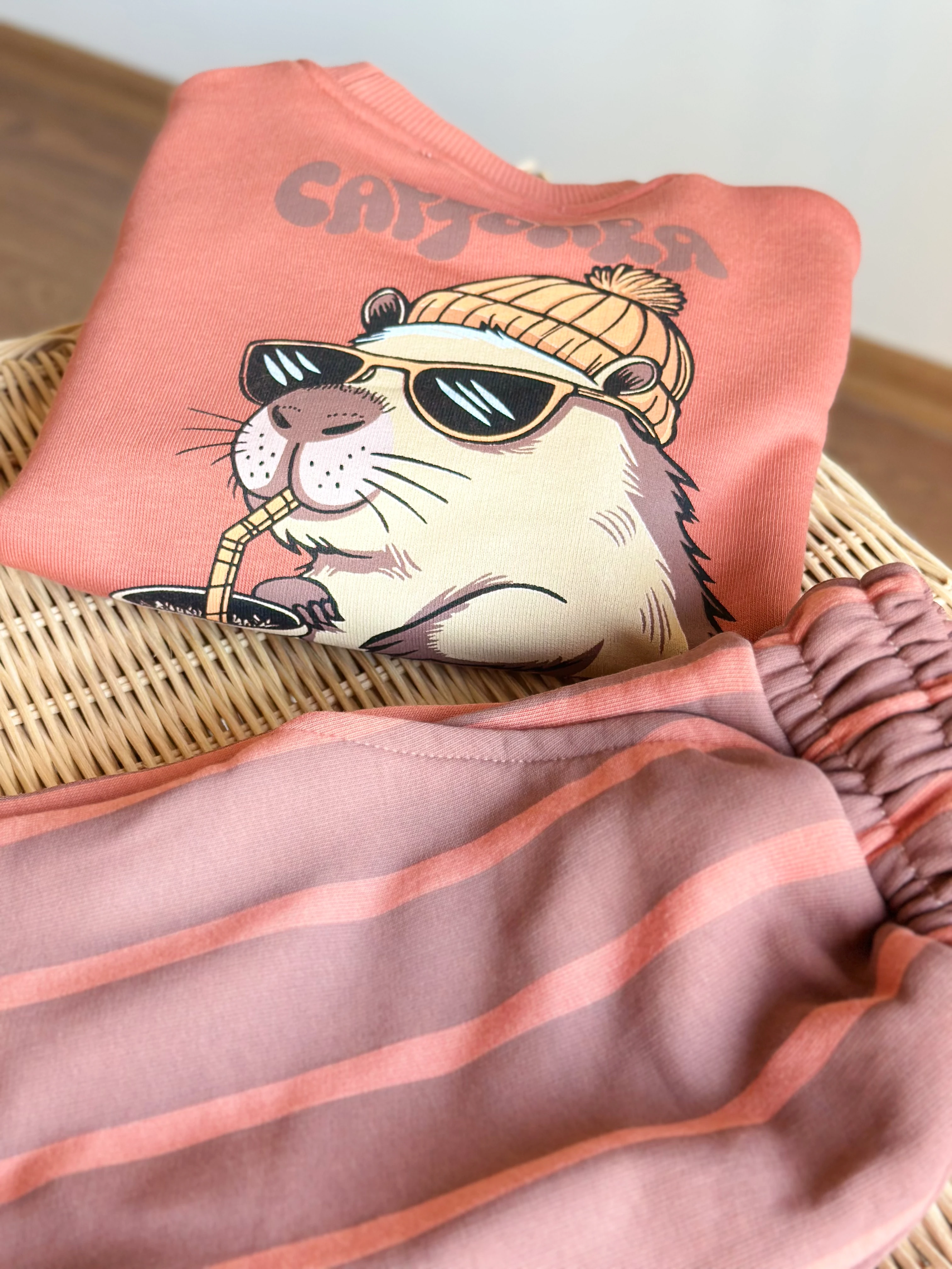 Karakter Baskılı Çizgili Takım