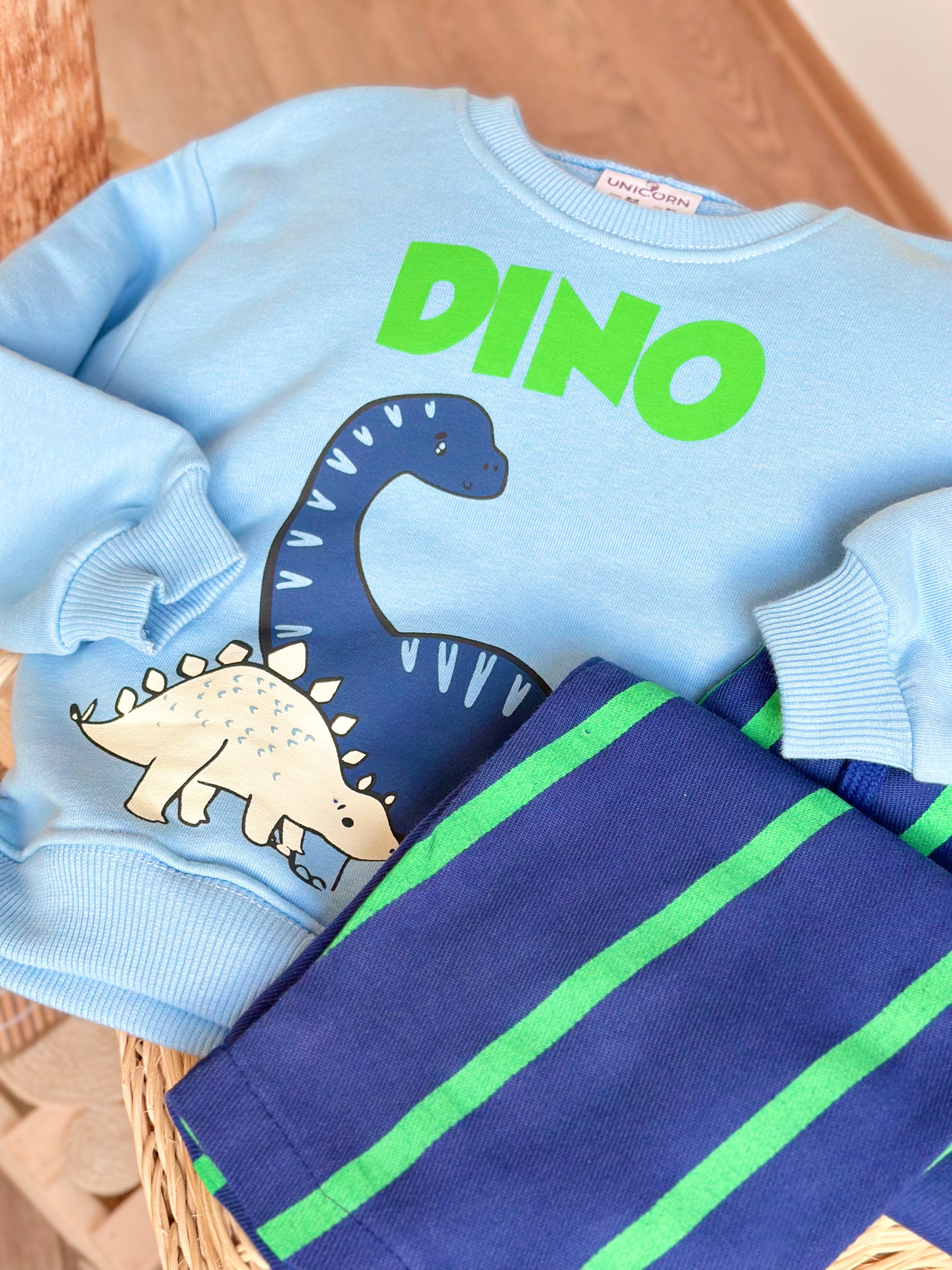 MİNİ DİNO Sweatshirt ve Dokuma Pantolon Takım