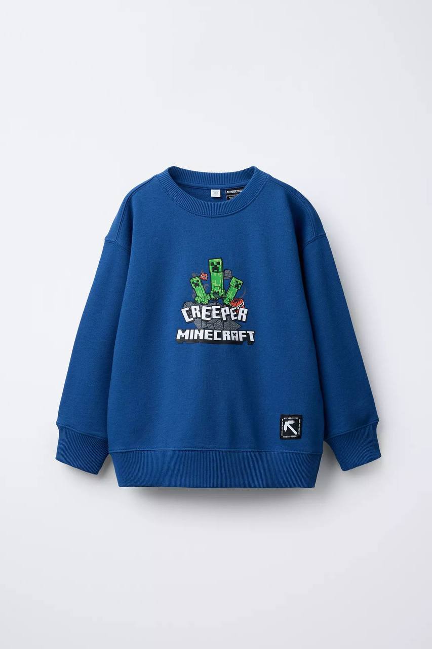 MINECRAFT Baskılı Sweatshirt (Büyük Yaş Grubu)