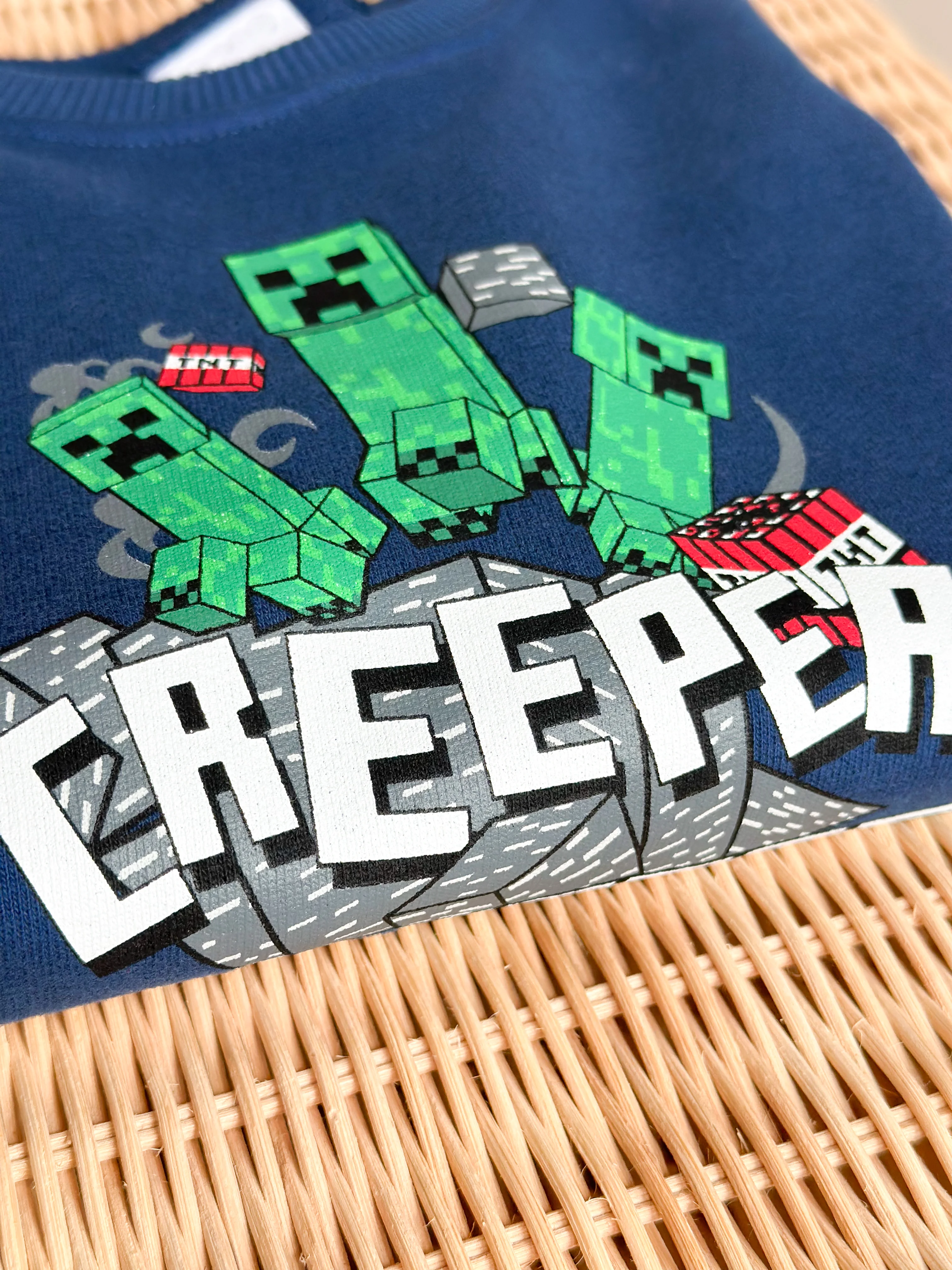 MINECRAFT Baskılı Sweatshirt (Büyük Yaş Grubu)