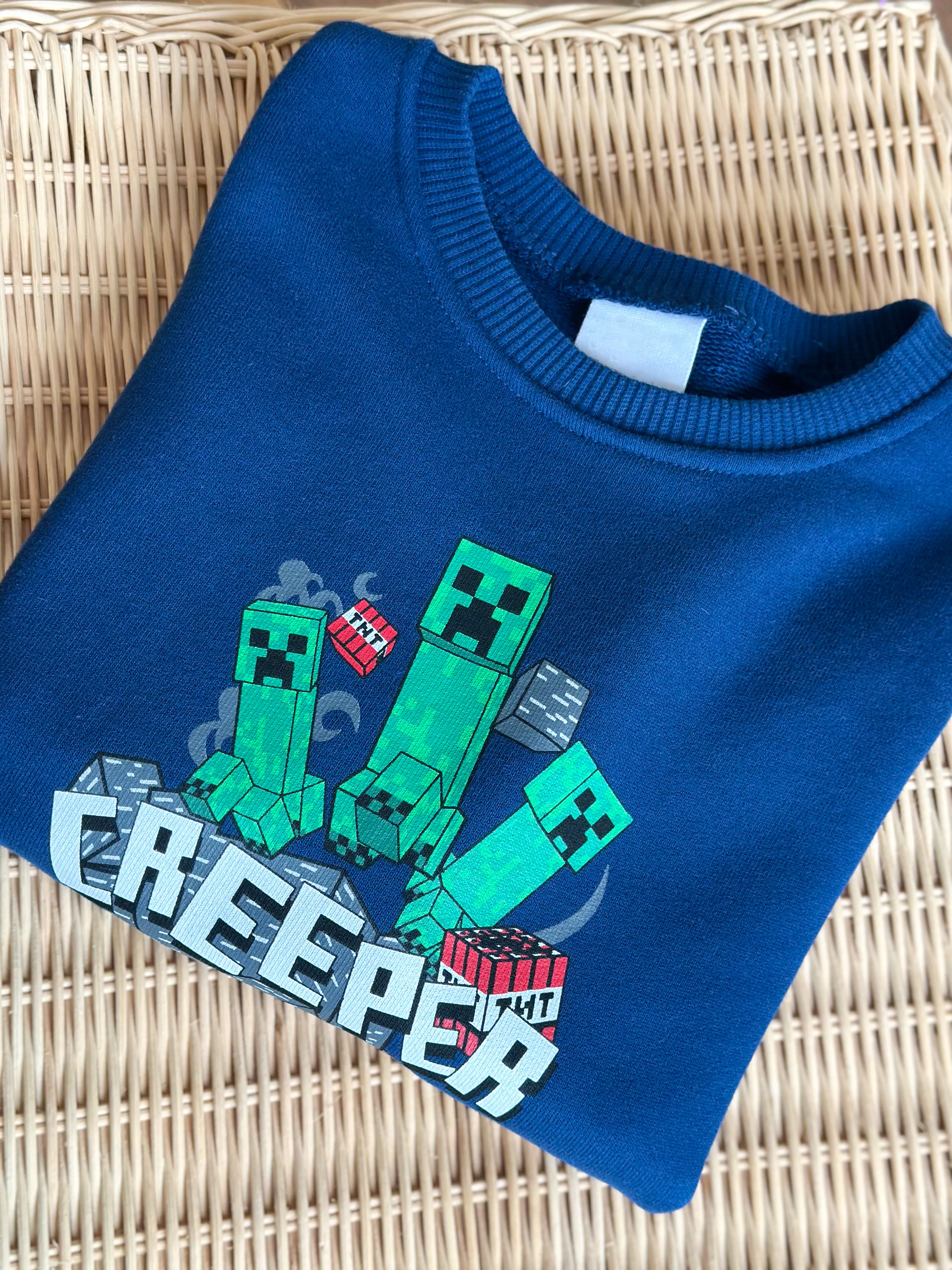 MINECRAFT Baskılı Sweatshirt (Büyük Yaş Grubu)