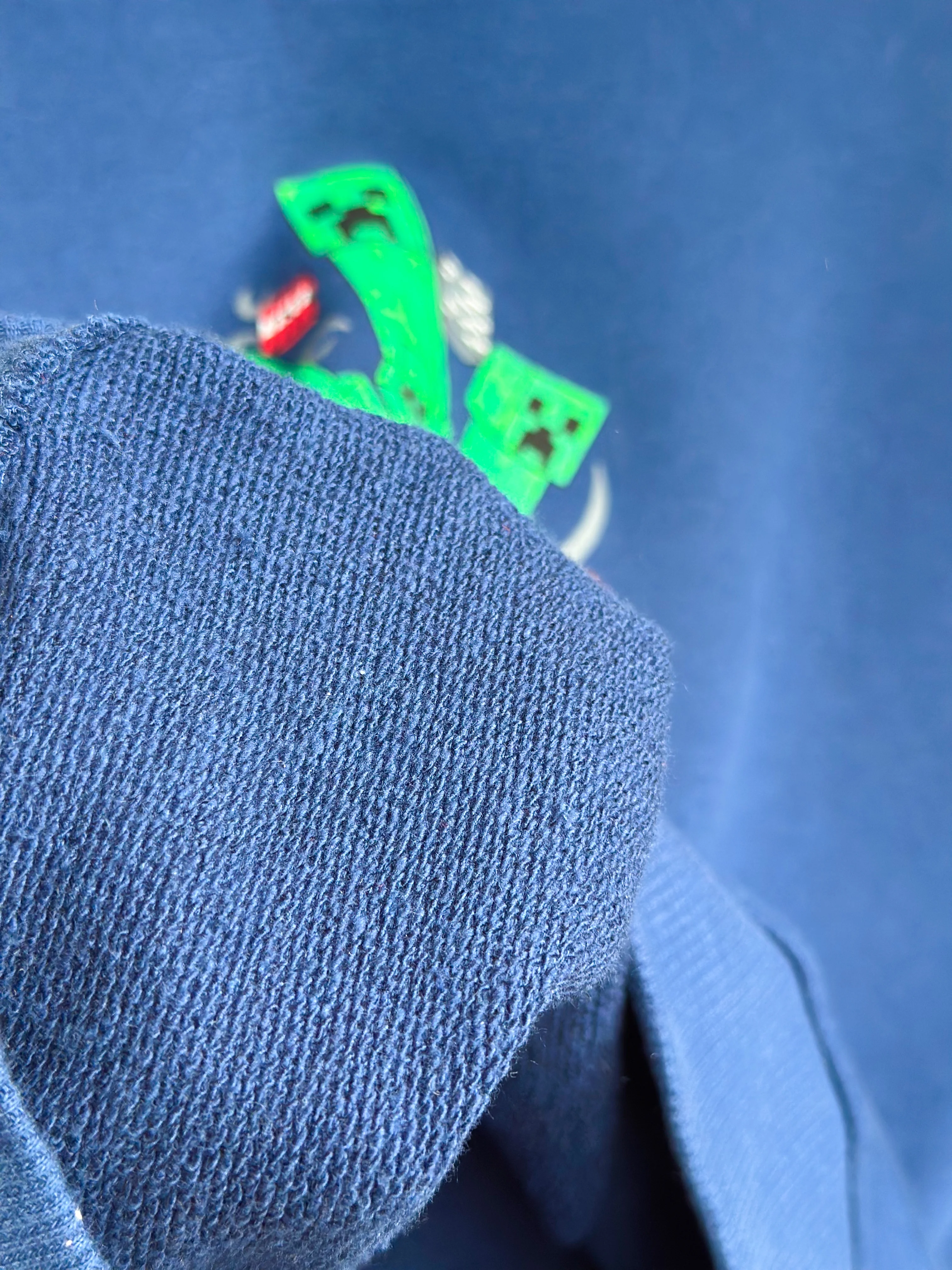 MINECRAFT Baskılı Sweatshirt (Büyük Yaş Grubu)