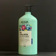 Agiva