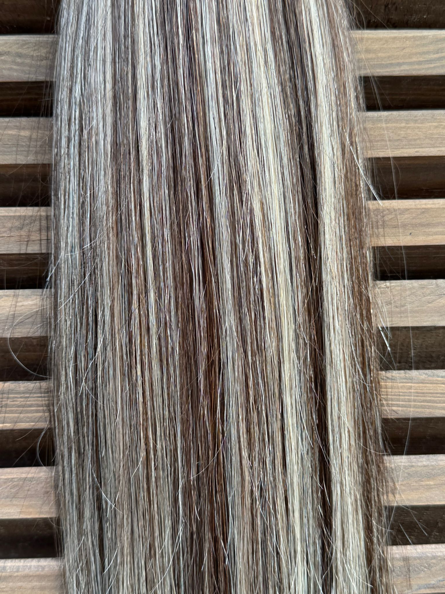 200 adet Akdeniz Balyajı Mikro Kaynak T2A-2A-1001