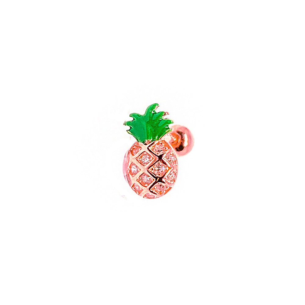 Ananas Tragus Ms2714