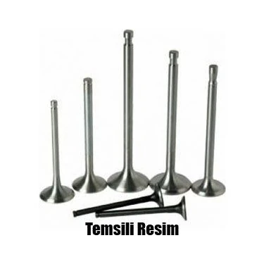 Supap Takım Emme-Egzoz Renault Clio V 19 Megane IV 16 Kadjar 16 Symbol III 18 Duster II 18 1. 5 Blue Dci Euro 6