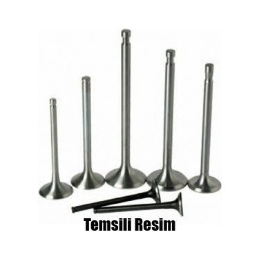 Supap Takım Emme-Egzoz Renault Clio V 19 Megane IV 16 Kadjar 16 Symbol III 18 Duster II 18 1. 5 Blue Dci Euro 6