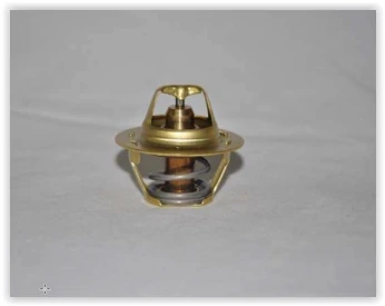 Termostat 89 C Megane I-II-R19-Clio II-Kangoo-Laguna I-II 1.4-1.6-1.8-1.9 D-2.0