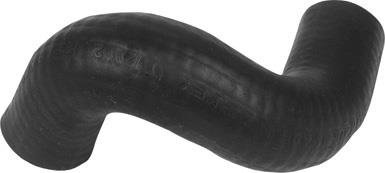 1519 Radyatör Alt Hortumu R19 Dzl-Exp