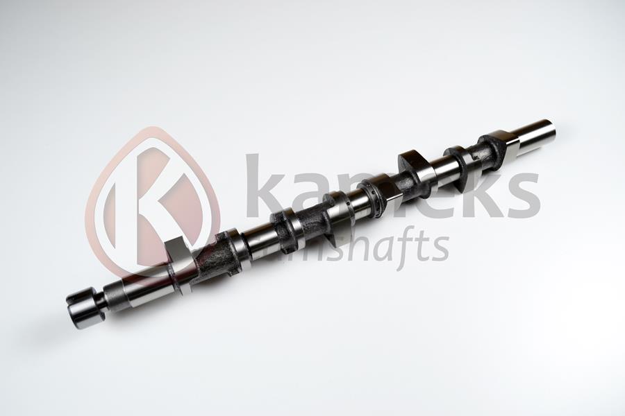 Eksantrik Mili Megane I 97 01 Megane II 02 08 Laguna I 97 02 Laguna II 02 07-Trafic II 06 Master I 01 1.9 Dci F9q Döküm