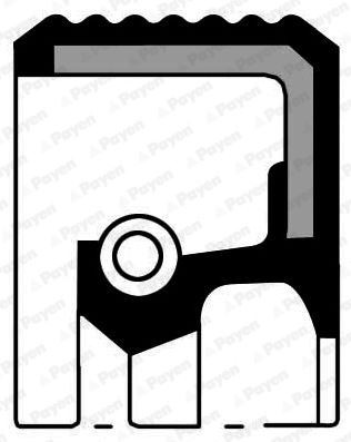 Krank Arka Keçesi̇ R9-R11-R19-R12 Toros-Clio-Megane-Scenic-Kangoo-Twng 80x100x8