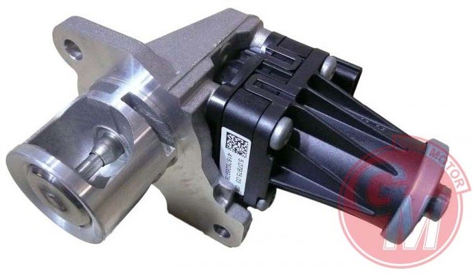 GUA Egr Valfi RENAULT