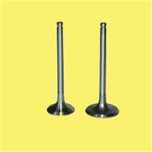 Emme Egzoz Subap Takım Polo-Golf4-5-Jetta-Passat-Tiguan Ahw-Bby-Bky-Bag-Blf-Blp-Bmy-Bcb-Cava-Caxa