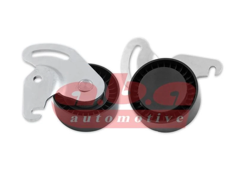 Alternatör Gergi̇ Rulmanı Ayakli Clio II-III-Kangoo-Megane II-Scenic II-Logan-Note1.5dci-1.4 16v-1.6 16v