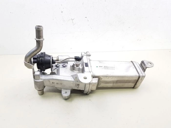 Egr Valfi Renault Renault Master III 10 Opel Movano B 10 2.3 Dci̇