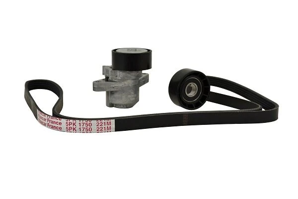 Alternatör Gergi̇ Ki̇ti̇ Clio II-Kangoo-Megane I-Scenic I-Logan-Sandero 1.4-1.6 16v Kli̇mali Hi̇droli̇k
