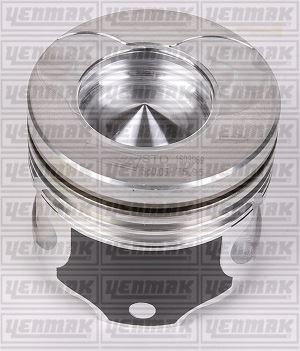 Motor Pi̇ston Segman Std 76.00 25pi̇m Clio-Kangoo-Symbol 1.5 Dci