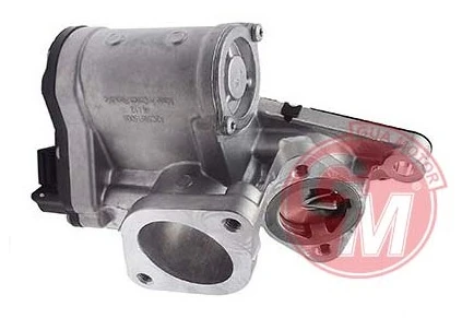 Egr Valfi̇ Renault Laguna II-Trafic II Vivaro 1.9