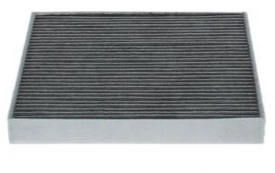 Polen Filtresi BMW E85 E86 E89 Karbonlu