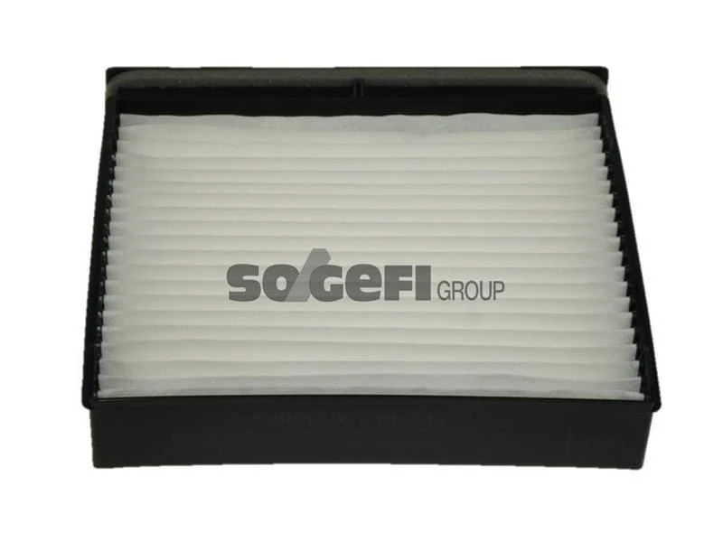 Polen Fi̇ltresi̇ Scenic II 1.4-1.6-1.6 16v-2.0 16v-1.5dci-1.9dci-2.0dci Plasti̇k Çerçeveli̇
