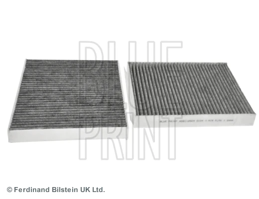 Blueprint Polen Filtresi