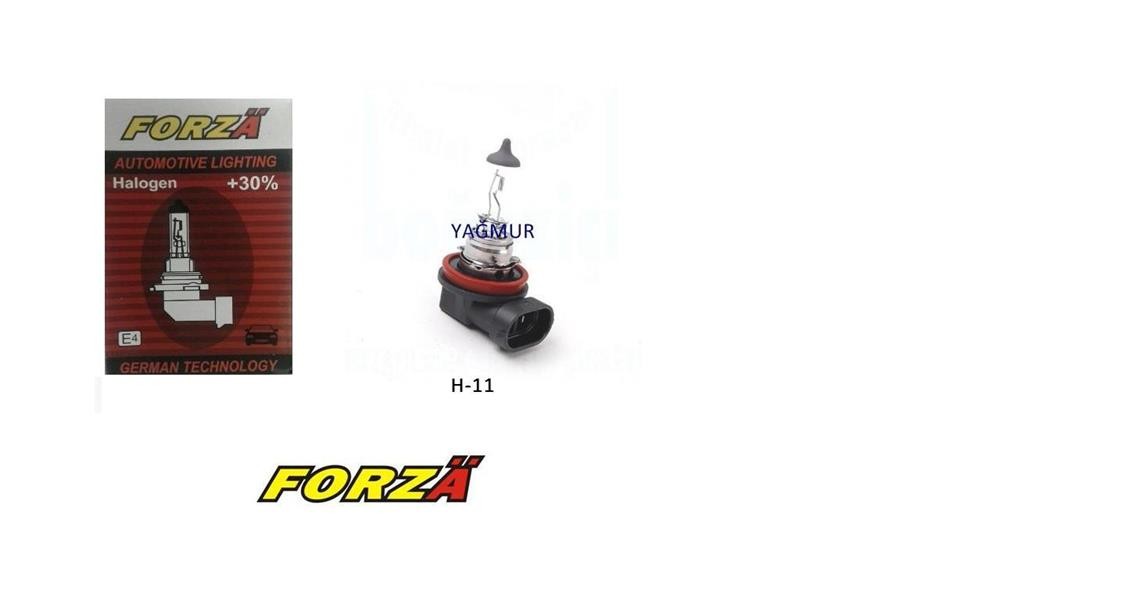 FORZA Ampül