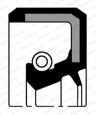 Krank Kapak Keçesi̇ R12-R9-R11-R19 1.6
