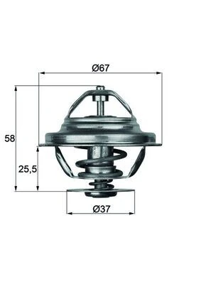 Termostat 80 C Mercedes Om616 W123 W460