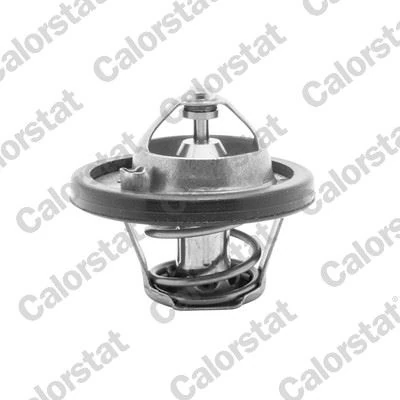Vernet Termostat Ford, Mazda, Volvo